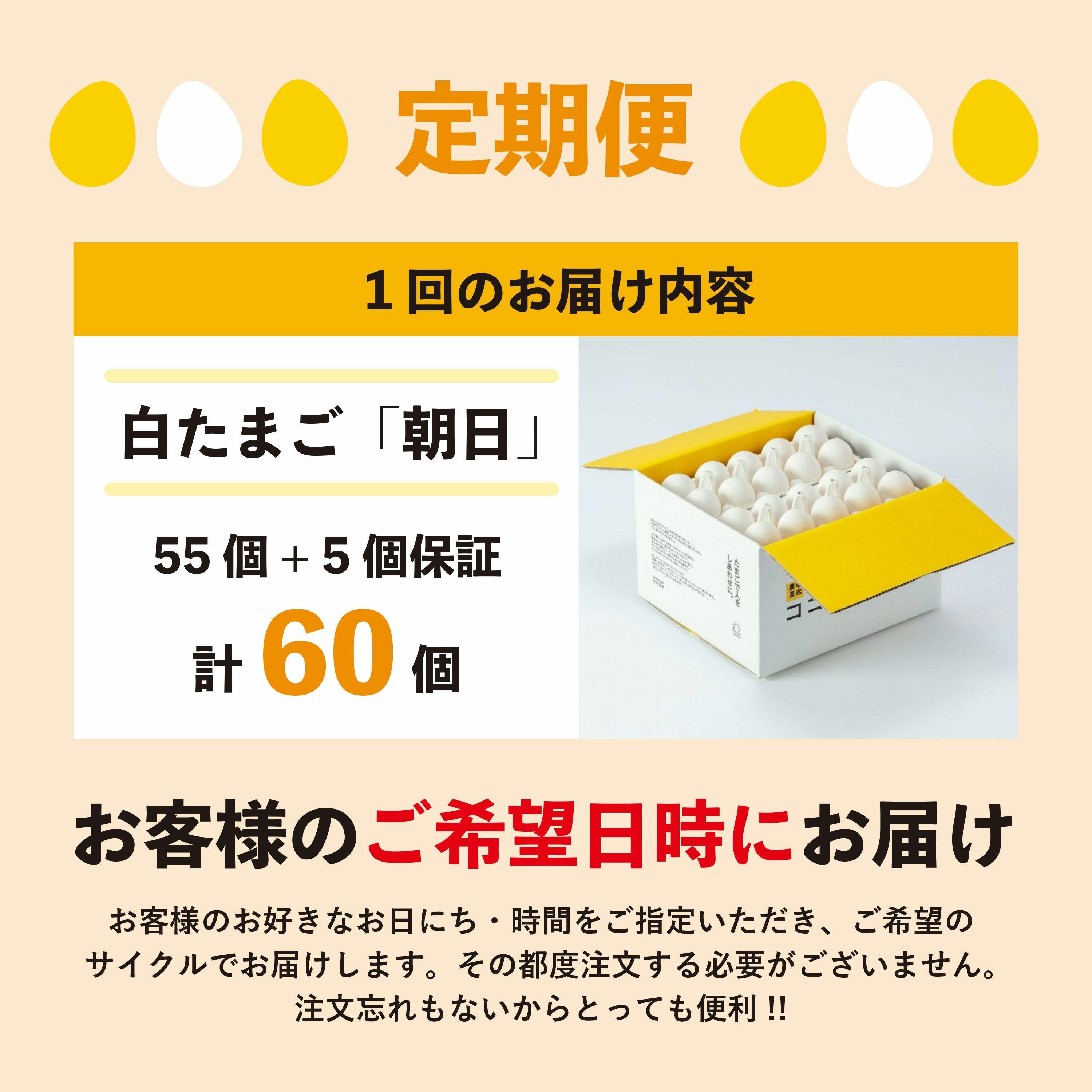 定期便】朝日（白たまご）55個 + 5個保証（計60個） | ココテラスの