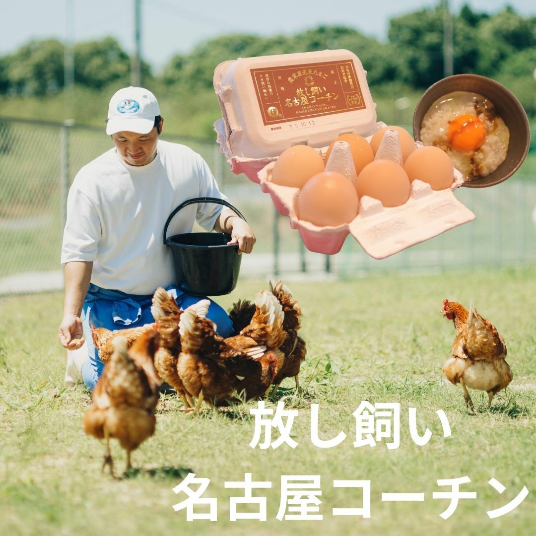放し飼い】名古屋コーチン 4パック（計24個） | ココテラスの